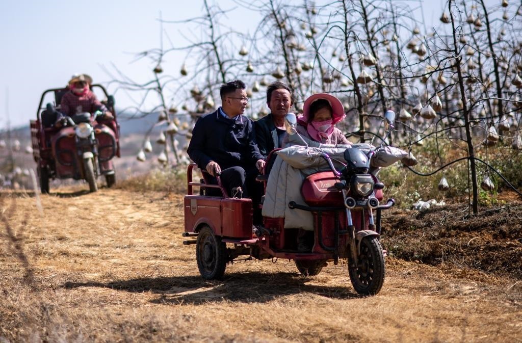 全國人大代表袁海波（右三）在云南省曲靖市馬龍區(qū)一種植基地了解務工人員就業(yè)需求（2023年2月11日攝）。新華社記者 江文耀 攝