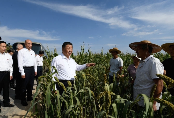 2021年9月13日至14日，中共中央總書記、國家主席、中央軍委主席習(xí)近平在陜西省榆林市考察。這是13日下午，習(xí)近平在米脂縣銀州街道高西溝村臨時下車，察看糧食作物長勢，同正在田間勞作的老鄉(xiāng)拉家常。新華社記者 李學(xué)仁 攝
