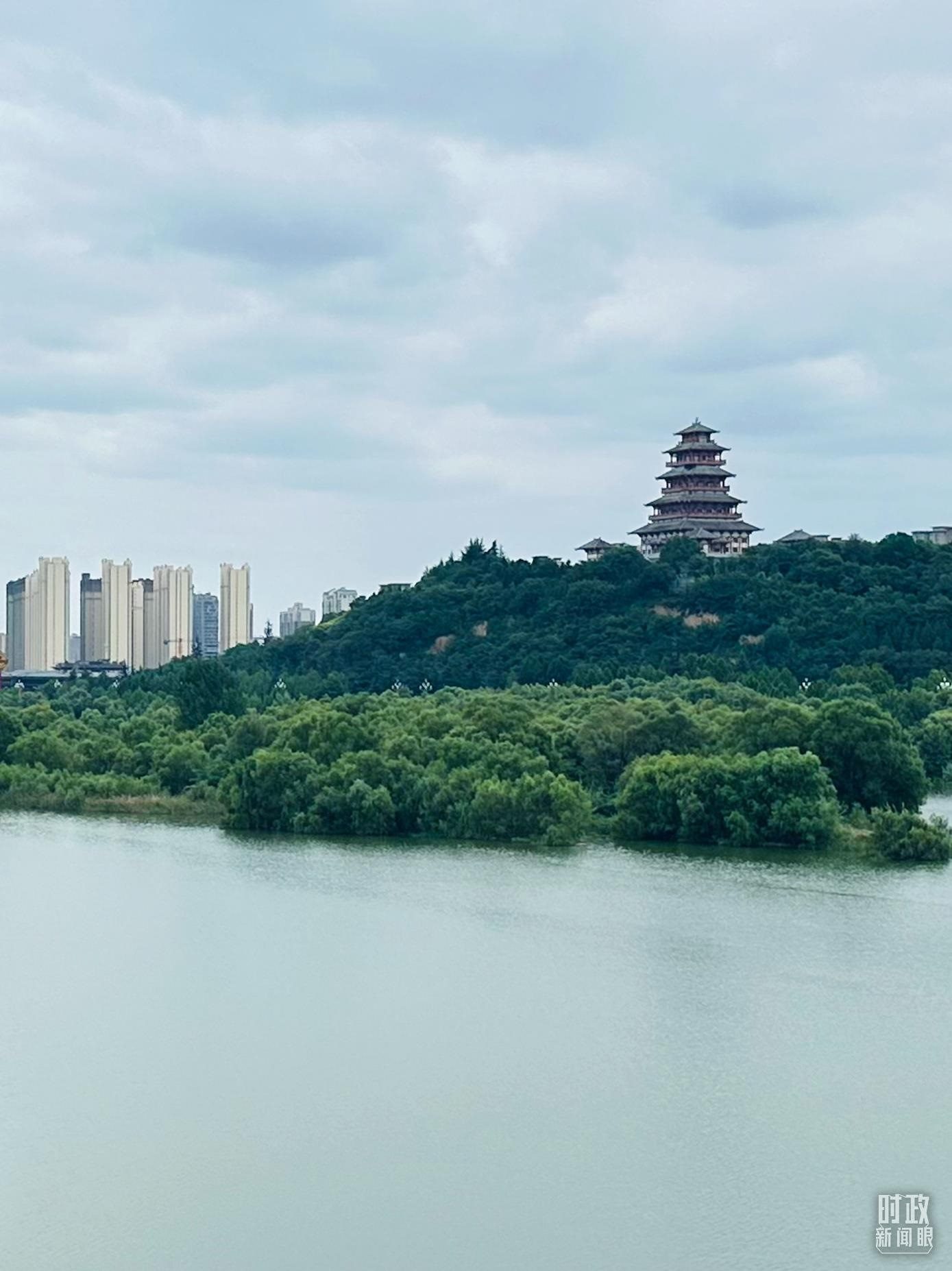 △渭河寶雞段長224公里，目前建成17處渭河灘區(qū)生態(tài)涵養(yǎng)區(qū)。（總臺央視記者范一鳴拍攝）