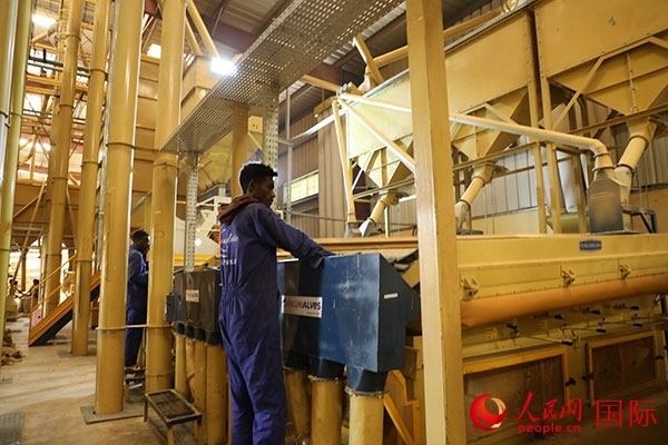 在Bule Hora咖啡加工廠里工作的當?shù)毓と藗?。人民網(wǎng)記者 沈小曉攝