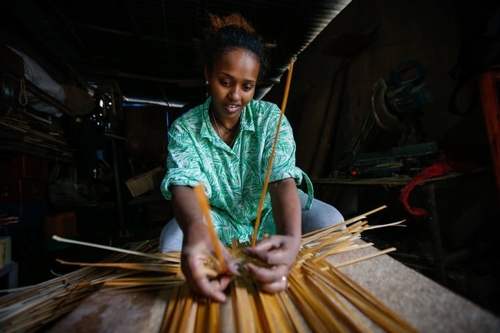 2024年8月10日，菲基爾特·加布雷在埃塞俄比亞首都亞的斯亞貝巴名為“綠色金子”的竹藤工作室里加工竹制產(chǎn)品。新華社發(fā)（邁克爾·特韋爾德 攝）