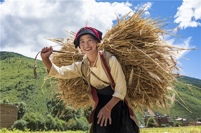 康定市甲根壩鎮(zhèn)青稞豐收，農牧民臉上洋溢著豐收的喜悅。林革文攝