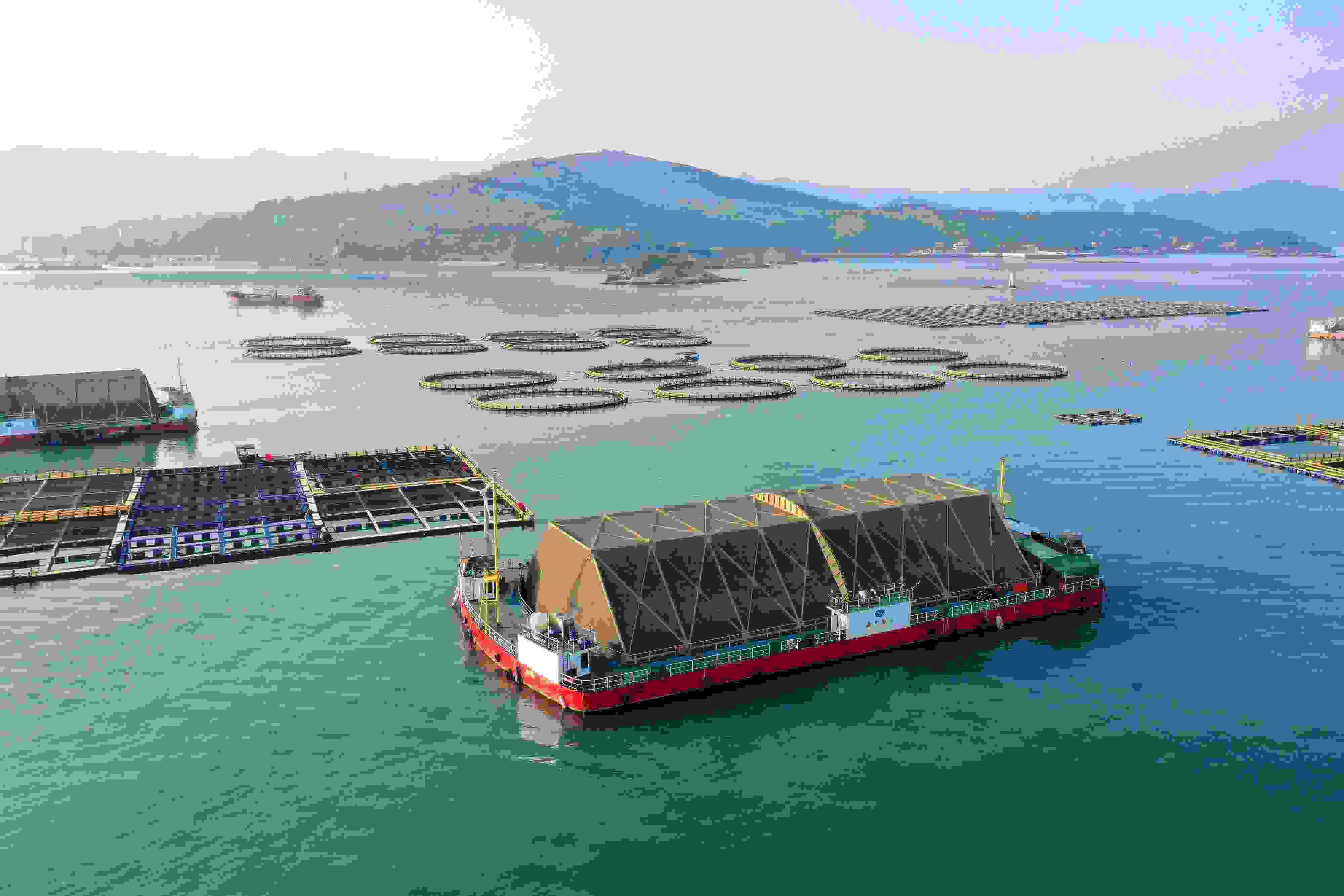 2024年9月10日拍攝的福建省福州市連江縣定海灣海域的現代化“海上糧倉”。