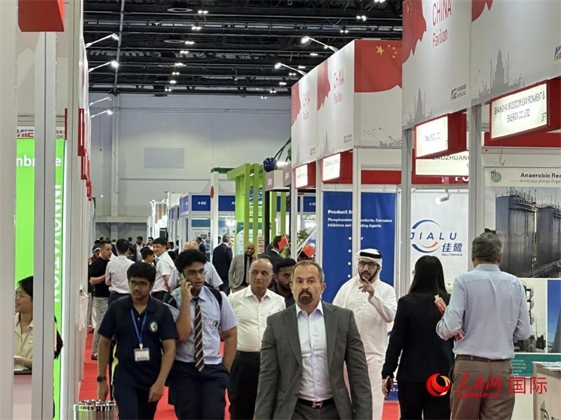 中國(guó)館一角。人民網(wǎng)記者管克江攝