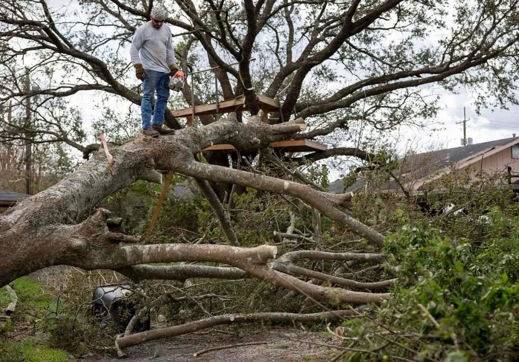2021年8月30日，在美國(guó)路易斯安那州霍馬，一名男子站在被颶風(fēng)吹倒的大樹(shù)上。新華社發(fā)（尼克·瓦格納 攝）