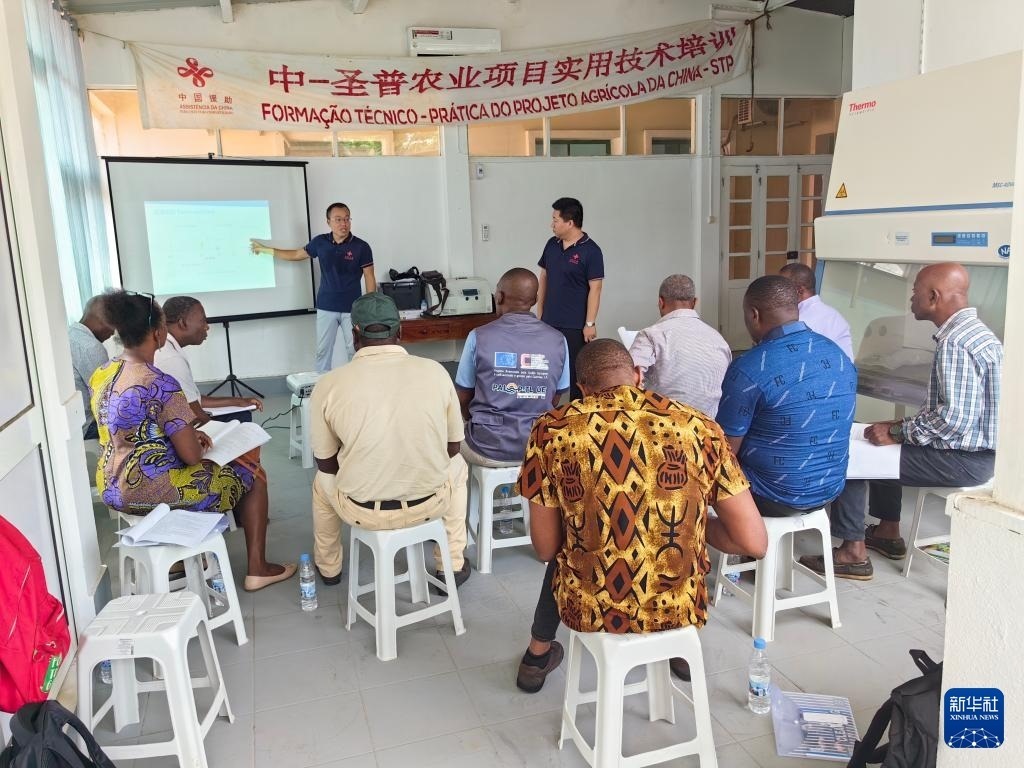 中國援圣普農牧業(yè)技術項目組專家段振華（后左）在圣多美和普林西比的國家獸醫(yī)實驗室開展動物疫病監(jiān)測技術培訓（2024年6月21日攝）。新華社發(fā)（中國援圣普農技組供圖）