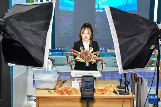 9月20日，在吉林省琿春市的帝王蟹保稅店內(nèi)，工作人員進(jìn)行網(wǎng)絡(luò)直播售賣帝王蟹。新華社記者 許暢 攝