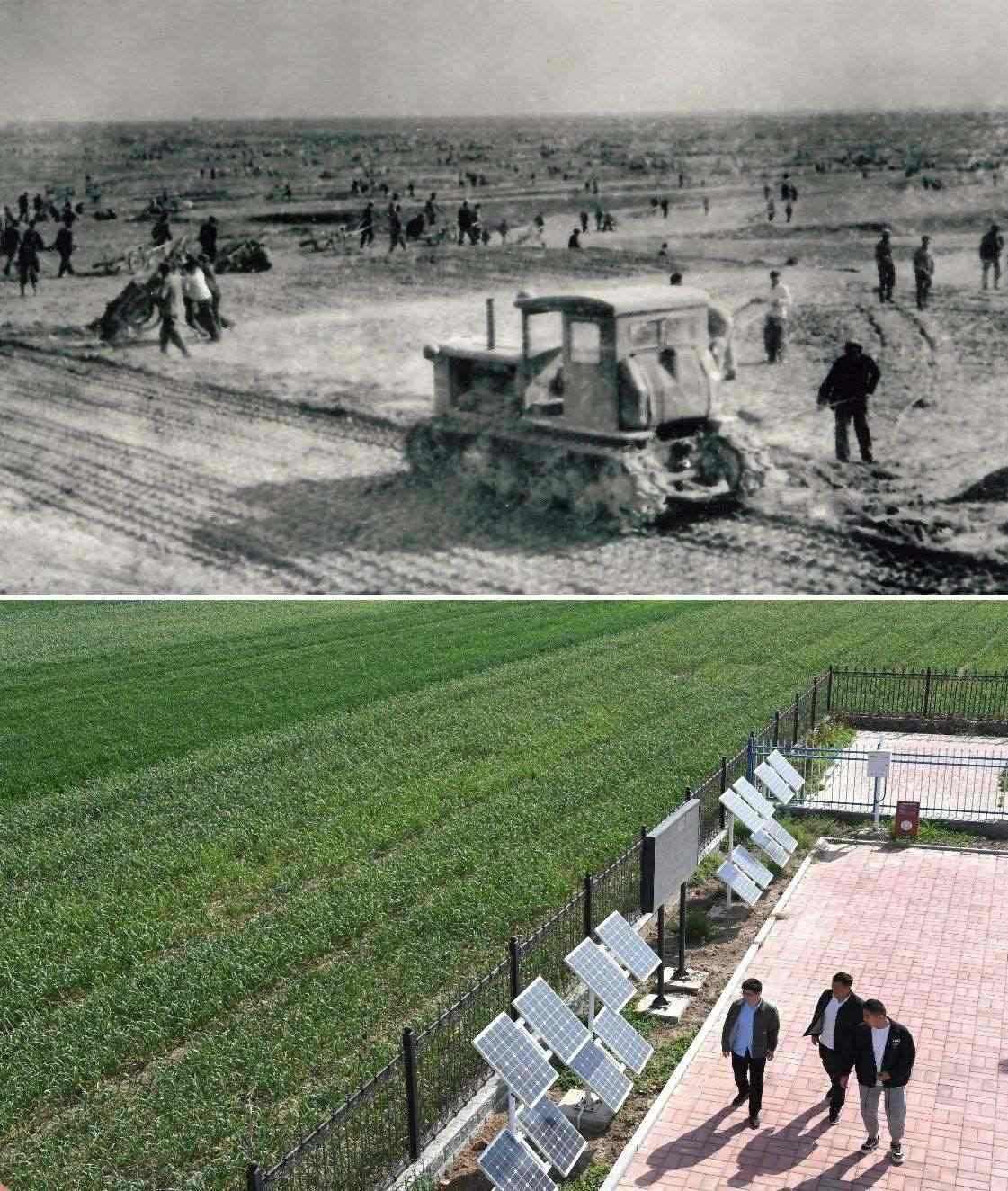 上圖為二十世紀(jì)六十年代蘭考改造鹽堿地的情景（資料照片）；下圖為2024年4月18日拍攝的蘭考縣紅廟鎮(zhèn)高標(biāo)準(zhǔn)農(nóng)田示范區(qū)。（新華社記者 朱祥 攝）