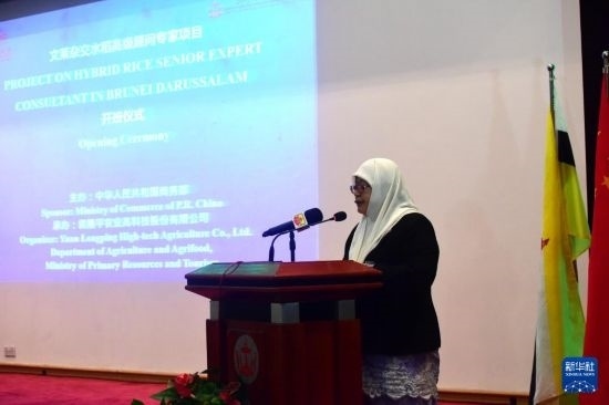 10月26日，文萊初級(jí)資源與旅游部常任秘書圖蒂亞蒂在斯里巴加灣市出席中國(guó)與文萊雜交水稻高級(jí)專家顧問(wèn)項(xiàng)目啟動(dòng)儀式。新華社記者 李萌 攝