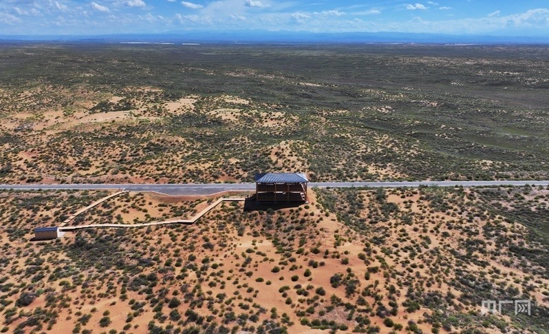 古浪縣一代代人治沙不息，讓綠色向沙漠深處不斷延伸（央廣網(wǎng)記者 李紅軍 攝）