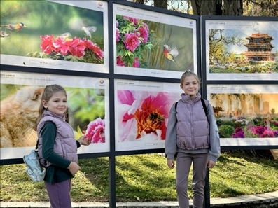 活動(dòng)現(xiàn)場(chǎng)。中國駐保加利亞大使館供圖。