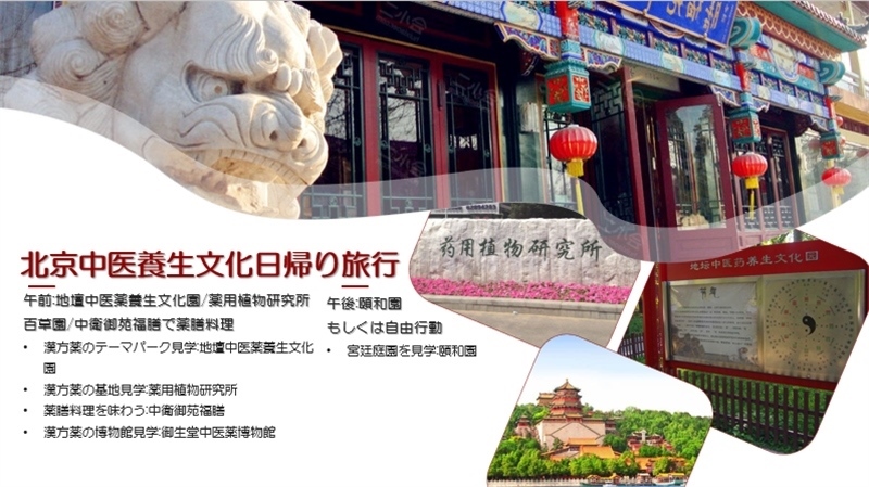 “你好！中國·休閑旅游—中國旅游說明會”宣講材料。中國駐東京旅游辦事處供圖