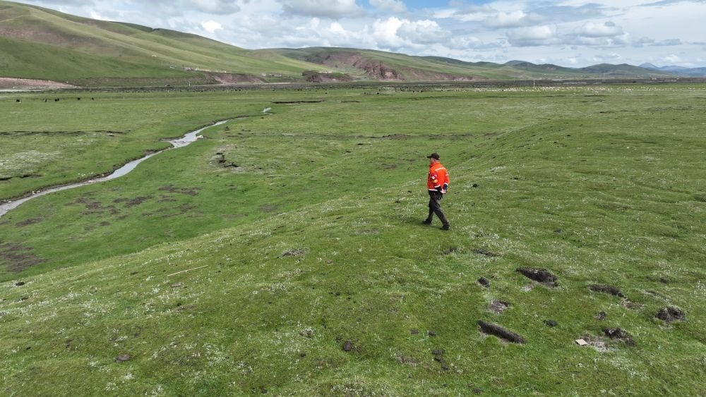 9月24日，生態(tài)管護(hù)員那瓦才郎在草場上巡護(hù)。（受訪者供圖）