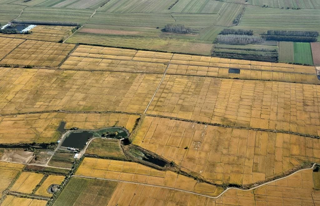 俯瞰黑龍江省哈爾濱市一處稻田（10月2日攝，無人機照片）。新華社記者 孫曉宇 攝