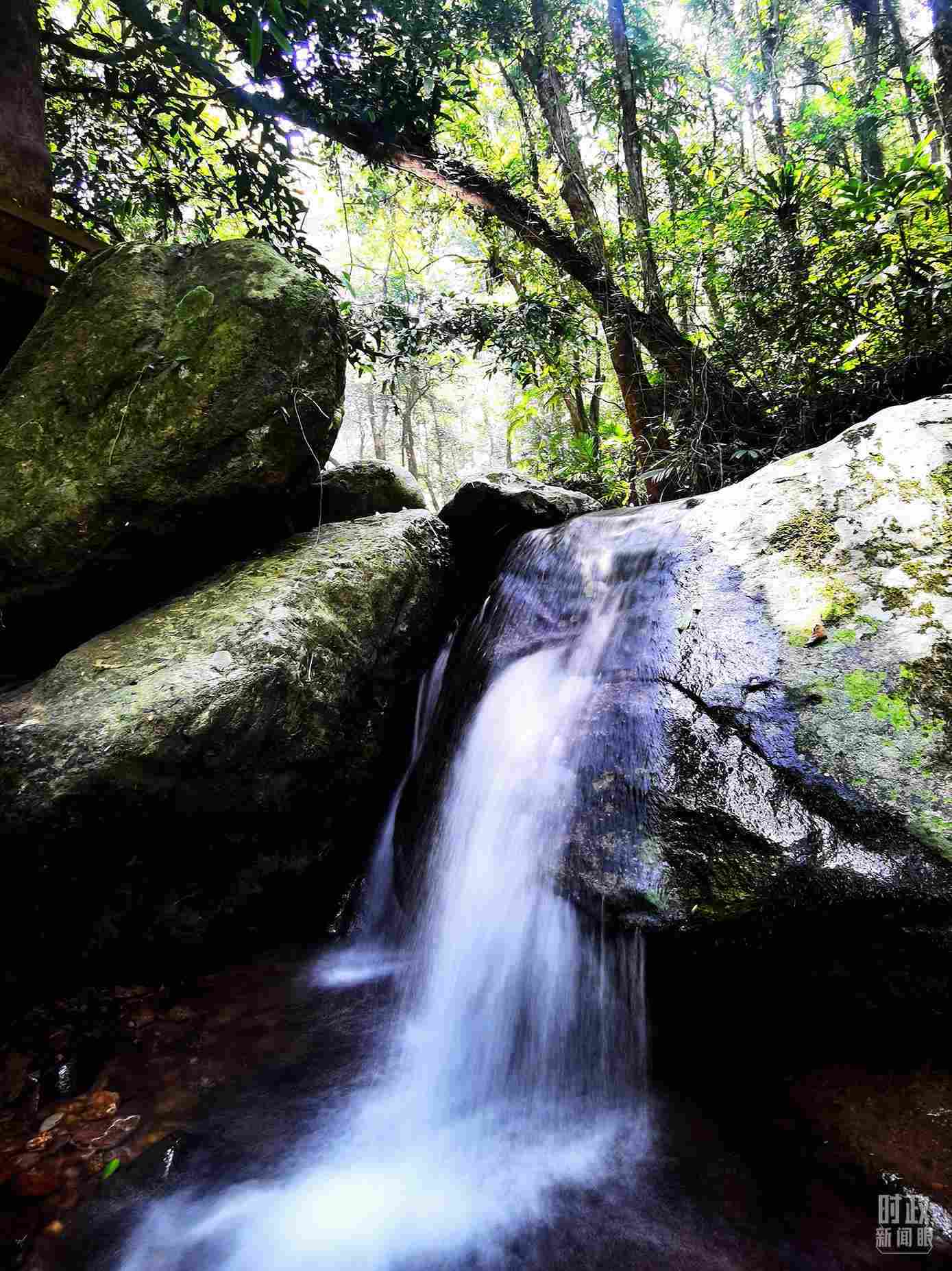 海南五指山。（總臺央視記者劉琦拍攝）