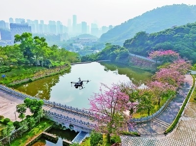 無人機(jī)在深圳塘朗山郊野公園里巡檢。新華社發(fā)