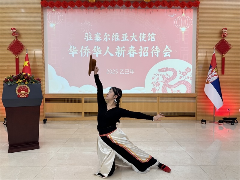 招待會現(xiàn)場表演。諾維薩德孔子學(xué)院供圖
