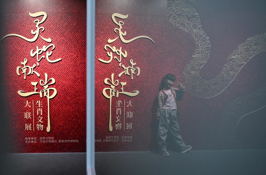 1月18日，一名小朋友在國(guó)家自然博物館舉辦的“靈蛇獻(xiàn)瑞——2025乙巳蛇年生肖文物大聯(lián)展”展覽中拍照留念。（新華社記者 陳鐘昊 攝）