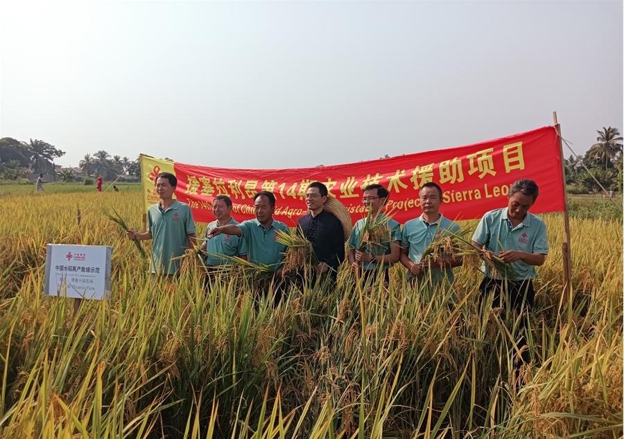 中國(guó)駐塞拉利昂大使王擎和援塞農(nóng)業(yè)專家組合影。中國(guó)援塞農(nóng)業(yè)專家組供圖
