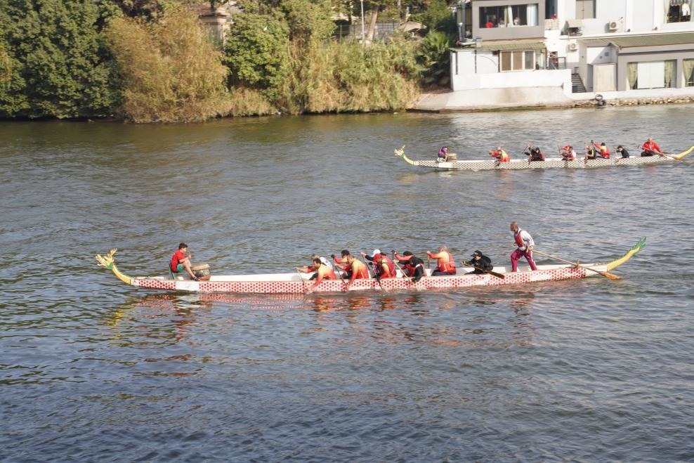 活動現(xiàn)場龍舟競技，共慶春節(jié)。開羅中國文化中心供圖