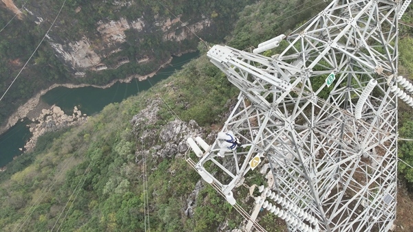 羅統(tǒng)在魯馬Ⅰ線1號塔上進行帶電作業(yè)。受訪者供圖
