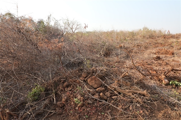 施工現(xiàn)場。張曉昆攝