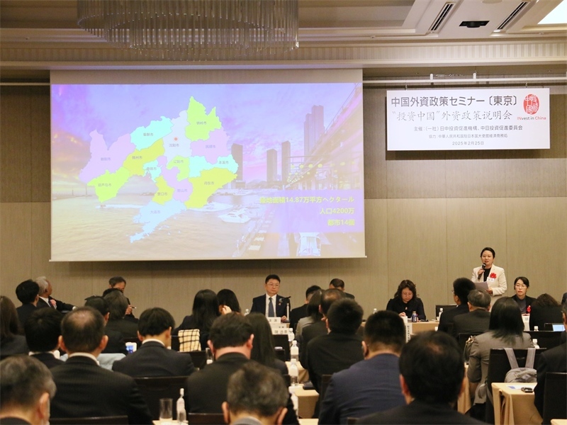 地方代表進(jìn)行專題投資推介。人民網(wǎng) 許可攝