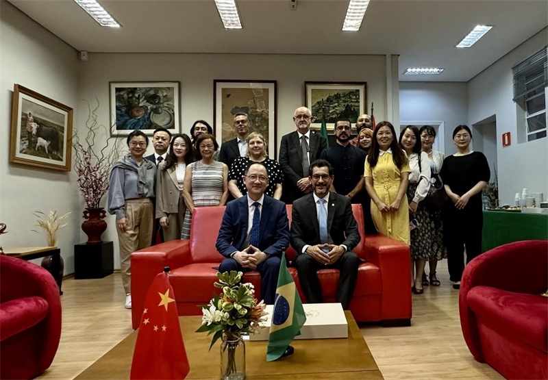 圖為參加座談會的來賓合影留念。 圣保羅州立大學孔子學院供圖