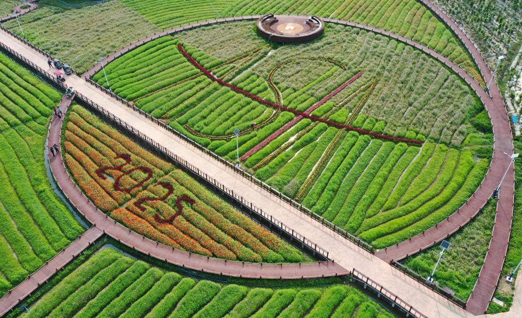 這是3月21日拍攝的瓊海博鰲南強村景色（無人機照片）。新華社記者 郭程 攝