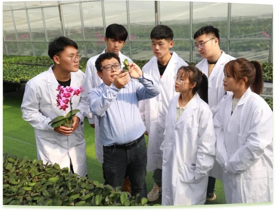 濰坊工程職業(yè)學(xué)院科技創(chuàng)新團(tuán)隊(duì)為花卉行業(yè)從業(yè)者作蝴蝶蘭雜交選育技術(shù)指導(dǎo)。學(xué)校供圖
