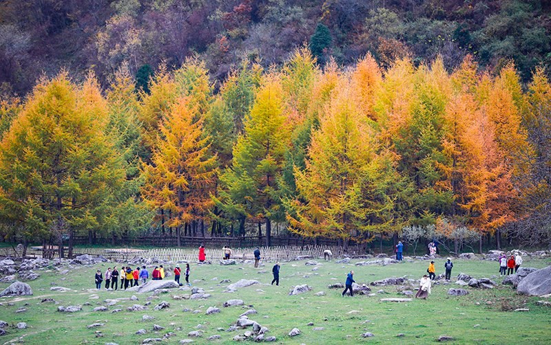 2023年10月27日，深秋時節(jié)的陜西秦嶺太子嶺五彩斑斕，進(jìn)入最佳觀賞期。