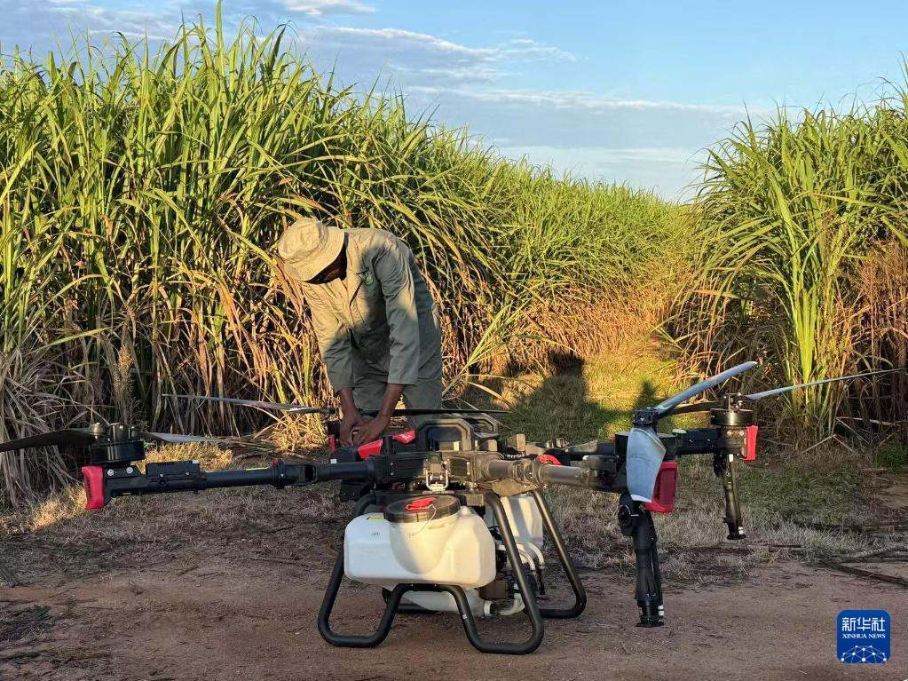3月25日，在南非夸祖魯-納塔爾省的方廷希爾莊園，工作人員為無人機做起飛作業(yè)前的準(zhǔn)備。新華社記者 白舸 攝