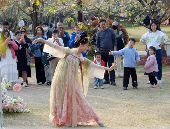 清明假期期間，上海顧村公園櫻花島上，游客在觀賞國(guó)風(fēng)漢服快閃表演。（圖片來(lái)源：視覺(jué)中國(guó)）
