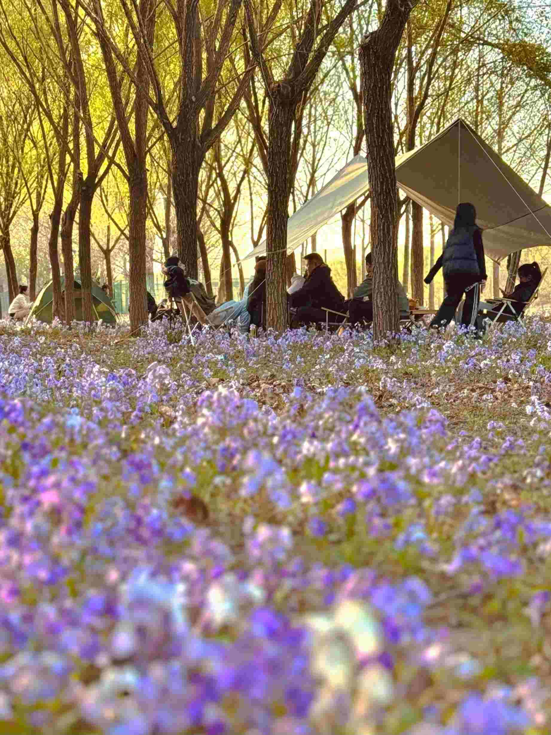 清明假期期間，范女士一家在北京溫榆河邊露營(yíng)。受訪者供圖