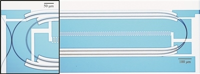 微波光量子傳感器的光學(xué)顯微照片。圖片來源：美國哈佛大學(xué)