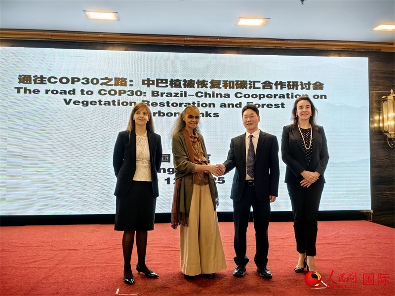 中國(guó)國(guó)家林業(yè)和草原局副局長(zhǎng)李云卿（右二）、巴西環(huán)境和氣候變化部部長(zhǎng)瑪麗娜·席爾瓦（左二）、巴西財(cái)政部副部長(zhǎng)羅熙丹（右一）、巴西駐華大使館公參樂美（左一）出席“通往COP30之路：中巴植樹造林和碳匯合作研討活動(dòng)”。人民網(wǎng)記者 符園園攝