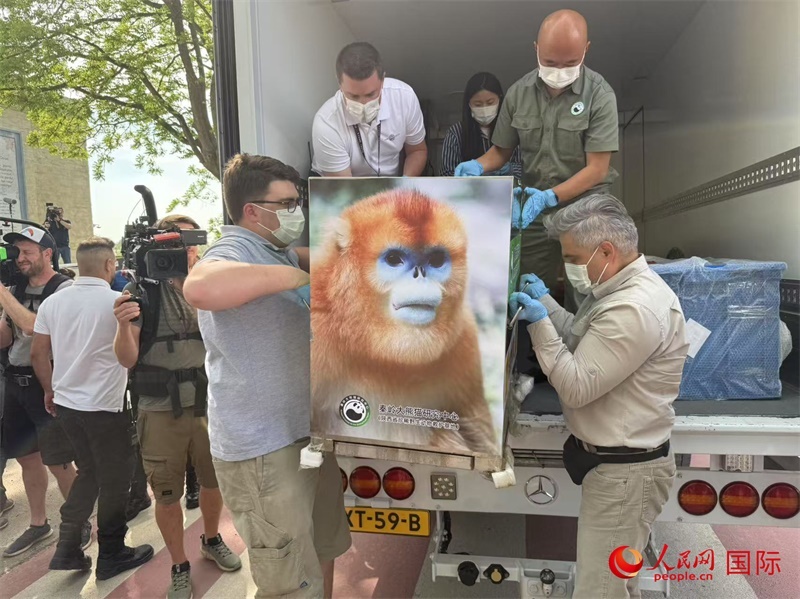 圖為活動現(xiàn)場。人民網(wǎng)記者 牛瑞飛攝