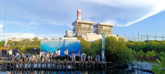 5月18日，中印尼嘉賓在爪哇7號燃煤電站舉行紅樹林補植儀式。記者 曹凱 攝