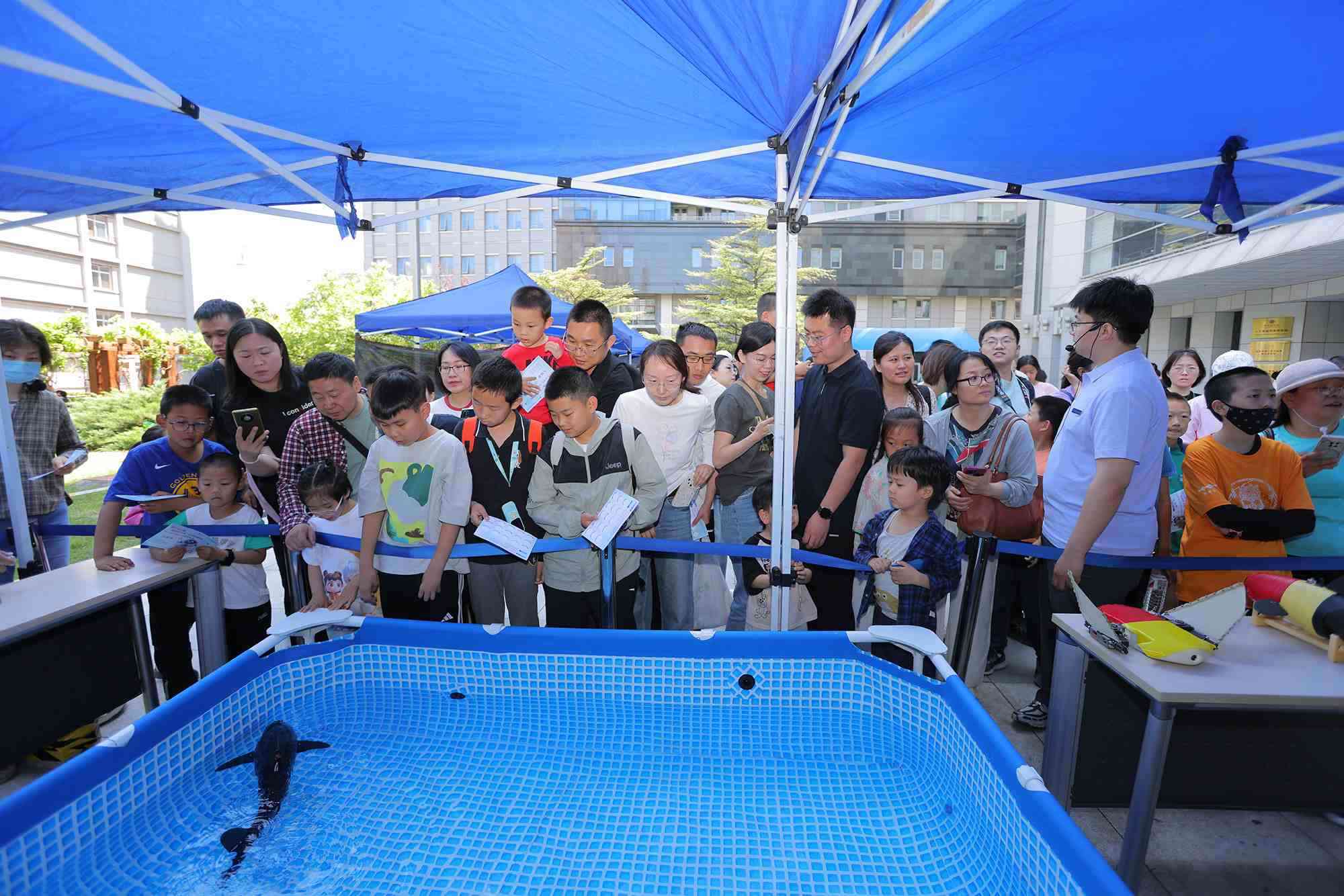 水下仿生機(jī)器魚在活動現(xiàn)場大受歡迎。中國科學(xué)院自動化研究所供圖